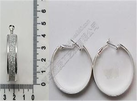 Glitter paper葱粉纸圆圈时尚耳环 Glitter paper葱粉纸圆圈时尚耳环