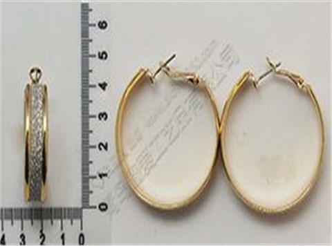 Glitter paper葱粉纸圆圈时尚耳环 Glitter paper葱粉纸圆圈时尚耳环